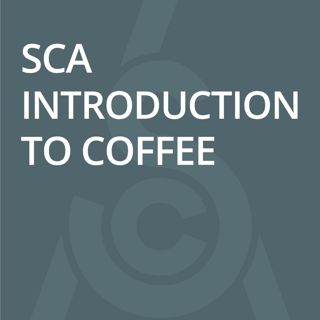 SCA Coffee Skills Program introduction to Coffee