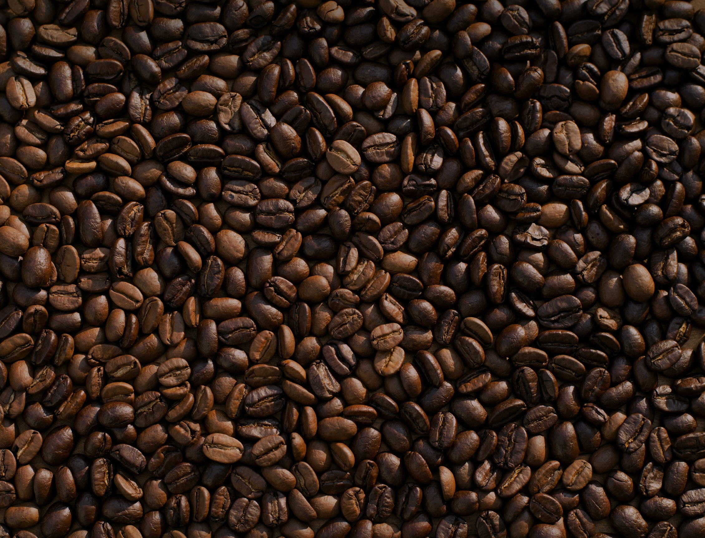 Fresh Roasted Coffee You Can Count On Gustos Coffee Puerto Rico